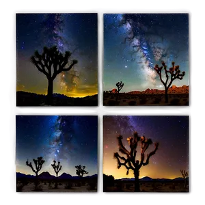 Joshua Tree Night Sky Panorama Png Krm PNG image