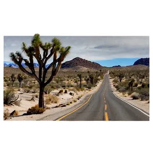 Joshua Tree Road Trip Scene Png Frg92 PNG image