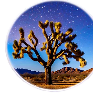 Joshua Tree Under Moonlight PNG 06262024