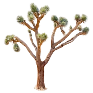 Joshua Tree With Desert Animals PNG Dvn88 PNG