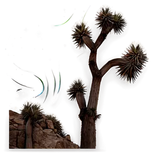 Joshua Tree With Galaxy Background Png 06262024 PNG image