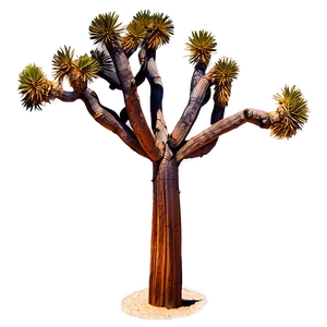 Joshua Tree With Galaxy Background PNG 06262024