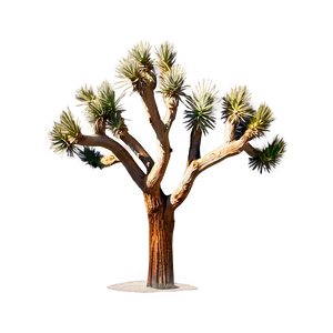 Joshua Tree With Mountain Backdrop Png 78 PNG image