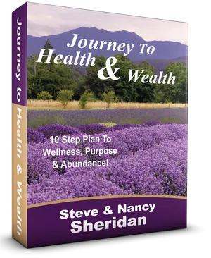Journeyto Healthand Wealth Book Cover PNG image
