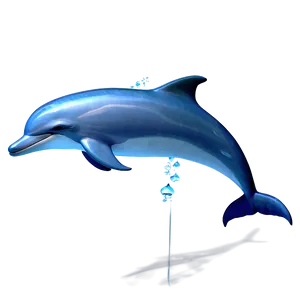 Joyful Dolphin Animation PNG 23