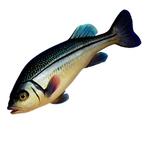 Joyful Fish Image PNG 99 PNG