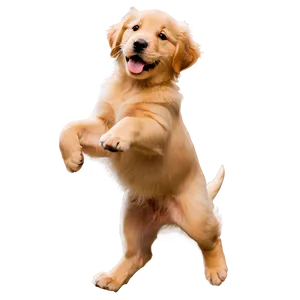 Joyful Golden Retriever Puppy Png 06252024 PNG image