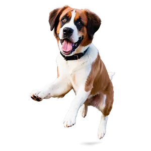Joyful St Bernard Jump PNG Yix PNG