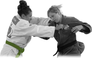 Judo Competition Action PNG