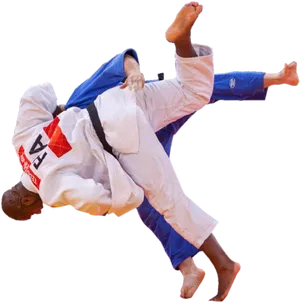 Judo Throw Action Shot.png PNG