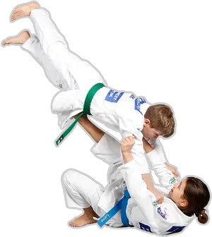 Judo Throw Technique PNG image