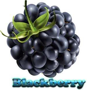 Juicy Blackberry Fruit Illustration PNG image