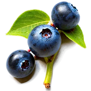 Juicy Blueberries PNG 05242024