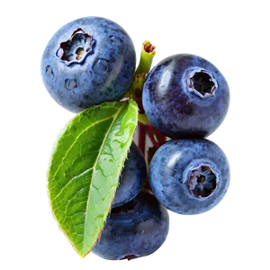 Juicy Blueberries Png 05242024 PNG image