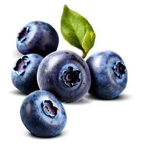 Juicy Blueberries PNG 72