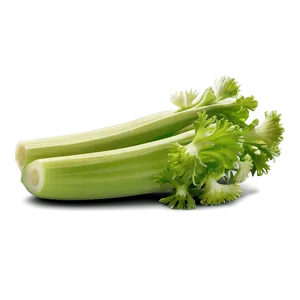 Juicy Celery PNG 06252024