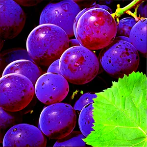 Juicy Grape Graphic Png 06292024 PNG image