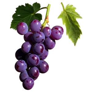 Juicy Grape PNG 96