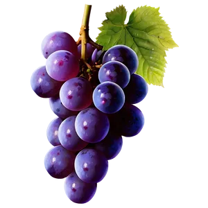 Juicy Grape PNG Sjp63