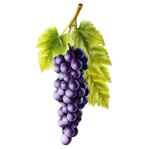 Juicy Grapes Png 05242024 PNG image