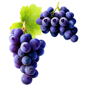 Juicy Grapes Png Cgx9 PNG image