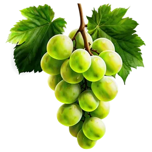 Juicy Green Grapes Bunch PNG Smp