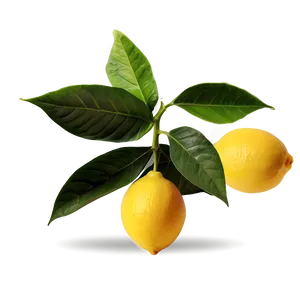 Juicy Lemons PNG Qcb PNG