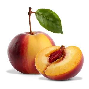 Juicy Nectarine Slice PNG 92 PNG
