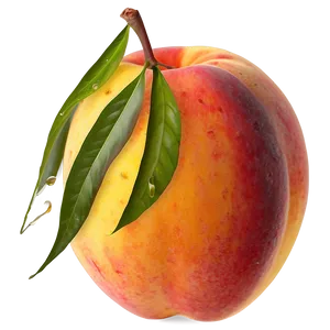 Juicy Peach Graphic PNG 05242024