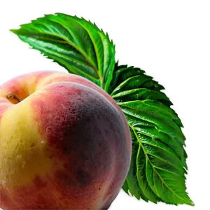Juicy Peach Graphic PNG Uhv6