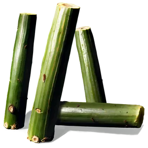 Juicy Sugarcane Segment Png 06262024 PNG image