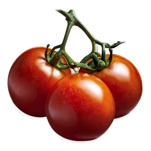 Juicy Tomato Png 29 PNG image