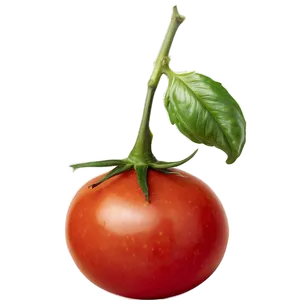 Juicy Tomato Png Qsa95 PNG image