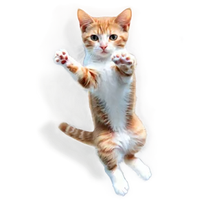 Jumping Cat Transparent 05252024 PNG image