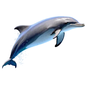Jumping Dolphin Png Vug PNG image