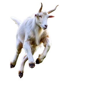 Jumping Goat Png 05232024 PNG image