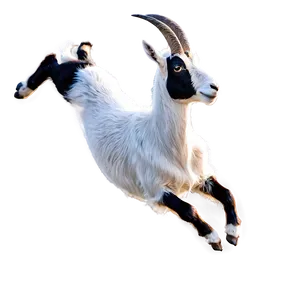 Jumping Goat Png Xii PNG image