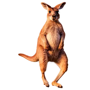 Jumping Kangaroo PNG Onw36