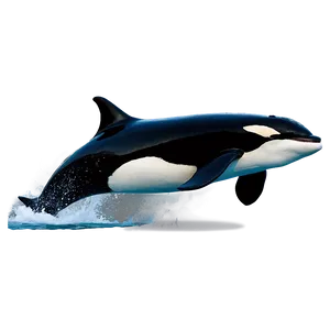 Jumping Orca PNG Uuj3