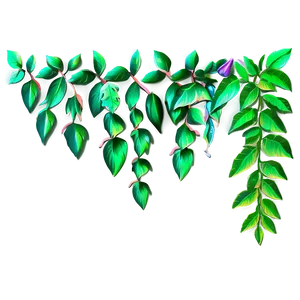 Jungle Forest Vines Clipart PNG 06262024 PNG