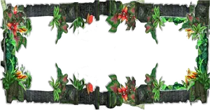 Jungle Frame Border Design PNG image