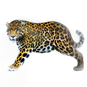 Jungle Jaguar PNG 26