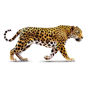 Jungle King Jaguar PNG Rtd