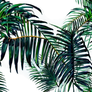 Jungle Palm Leaves Png 05252024 PNG image