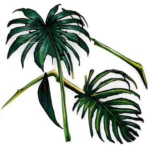 Jungle Palm Leaves Png 9 PNG image