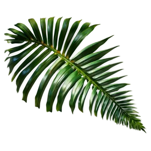 Jungle Palm Leaves Png Rlg PNG image