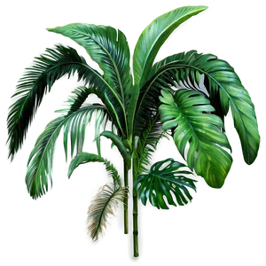 Jungle Plants PNG 13 PNG