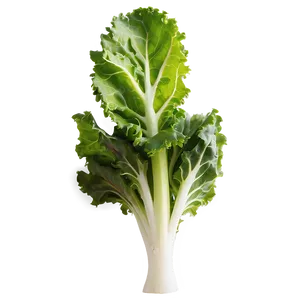 Kale Lettuce Mix Png 52 PNG image