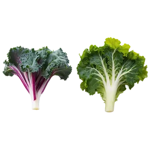 Kale Lettuce Mix Png 92 PNG image