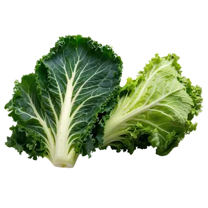 Kale Lettuce Mix PNG Hqx62